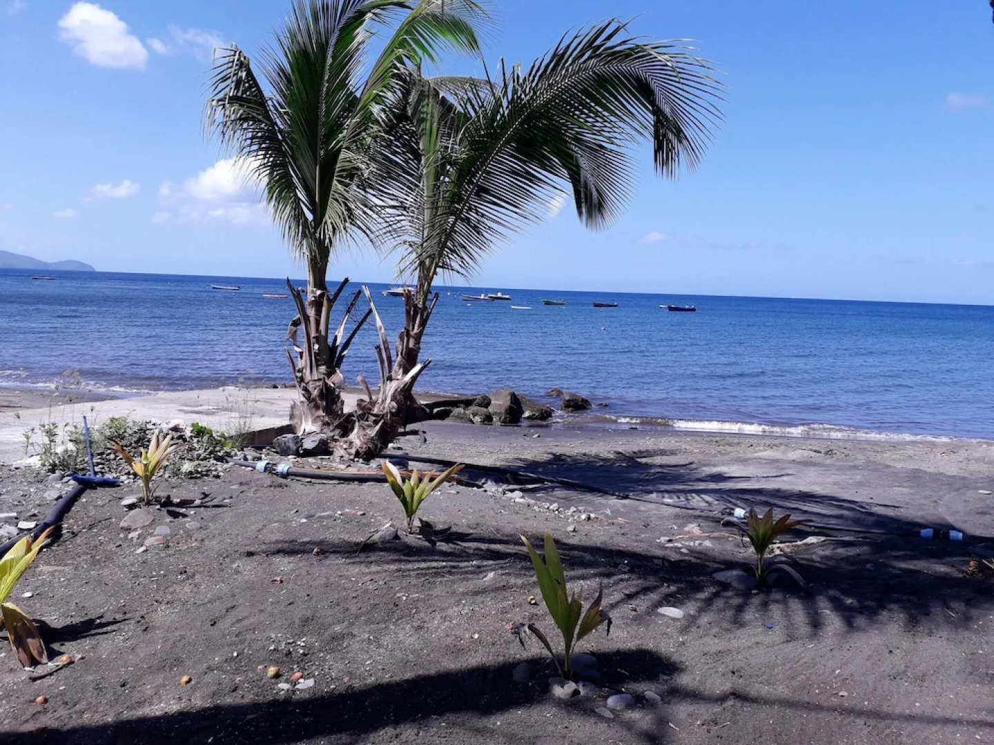 Apartment With 2 Bedrooms in Schoelcher, With Enclosed Garden and Wifi