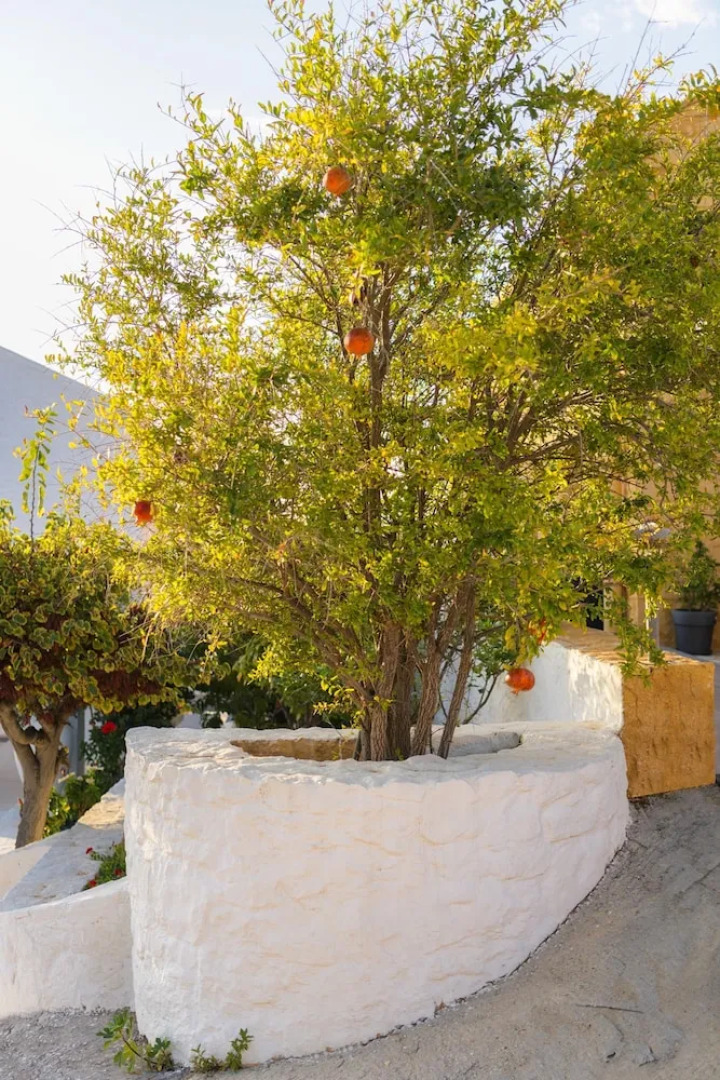 Villa Anton by Cura Villas Collection