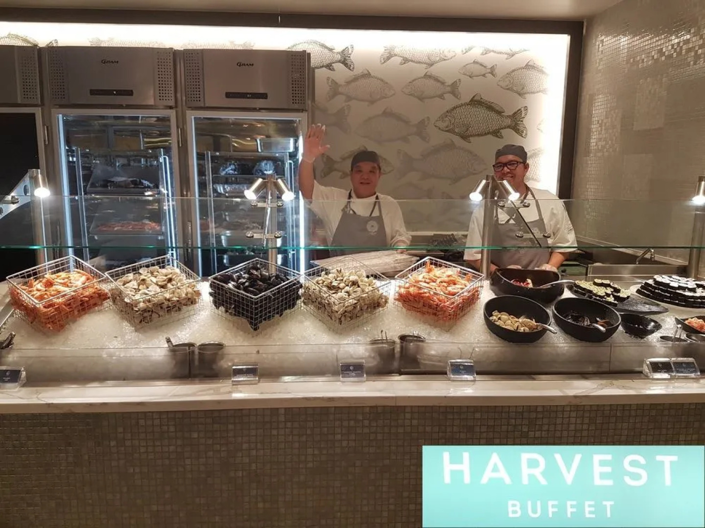 Sydney Darling Harbour Waterfront