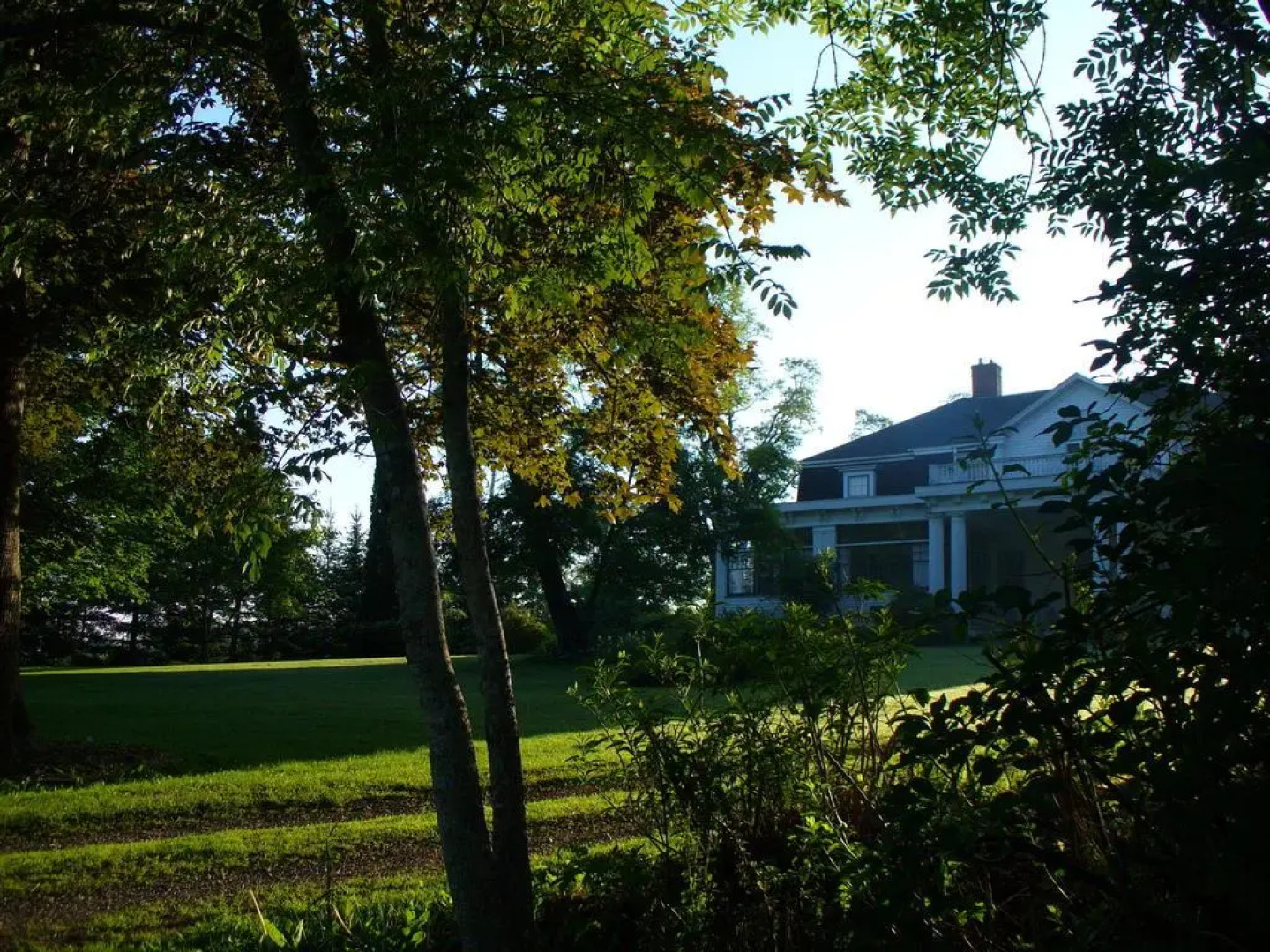 Willie Ed's Bed & Breakfast