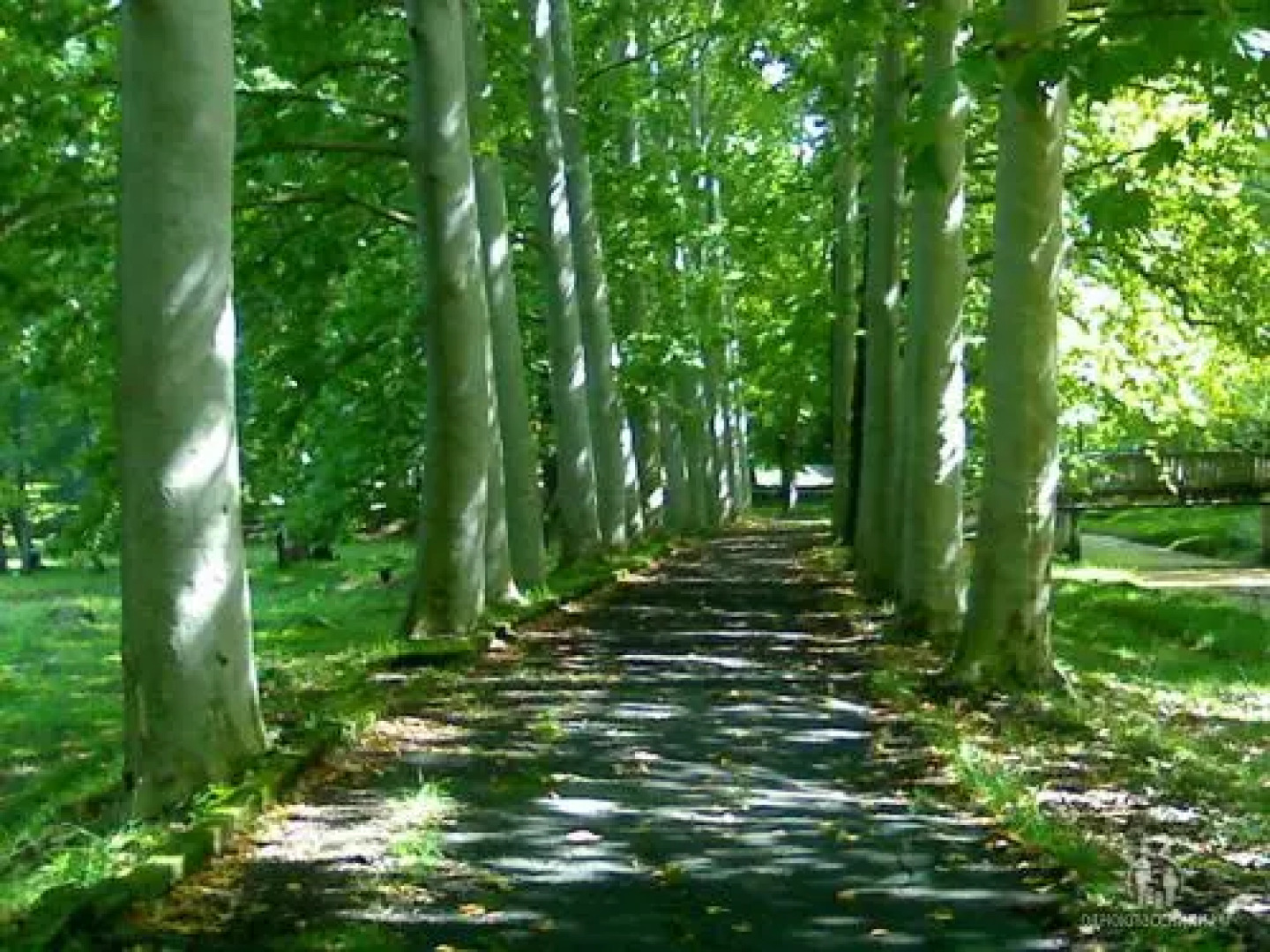 Санаторий Имерети