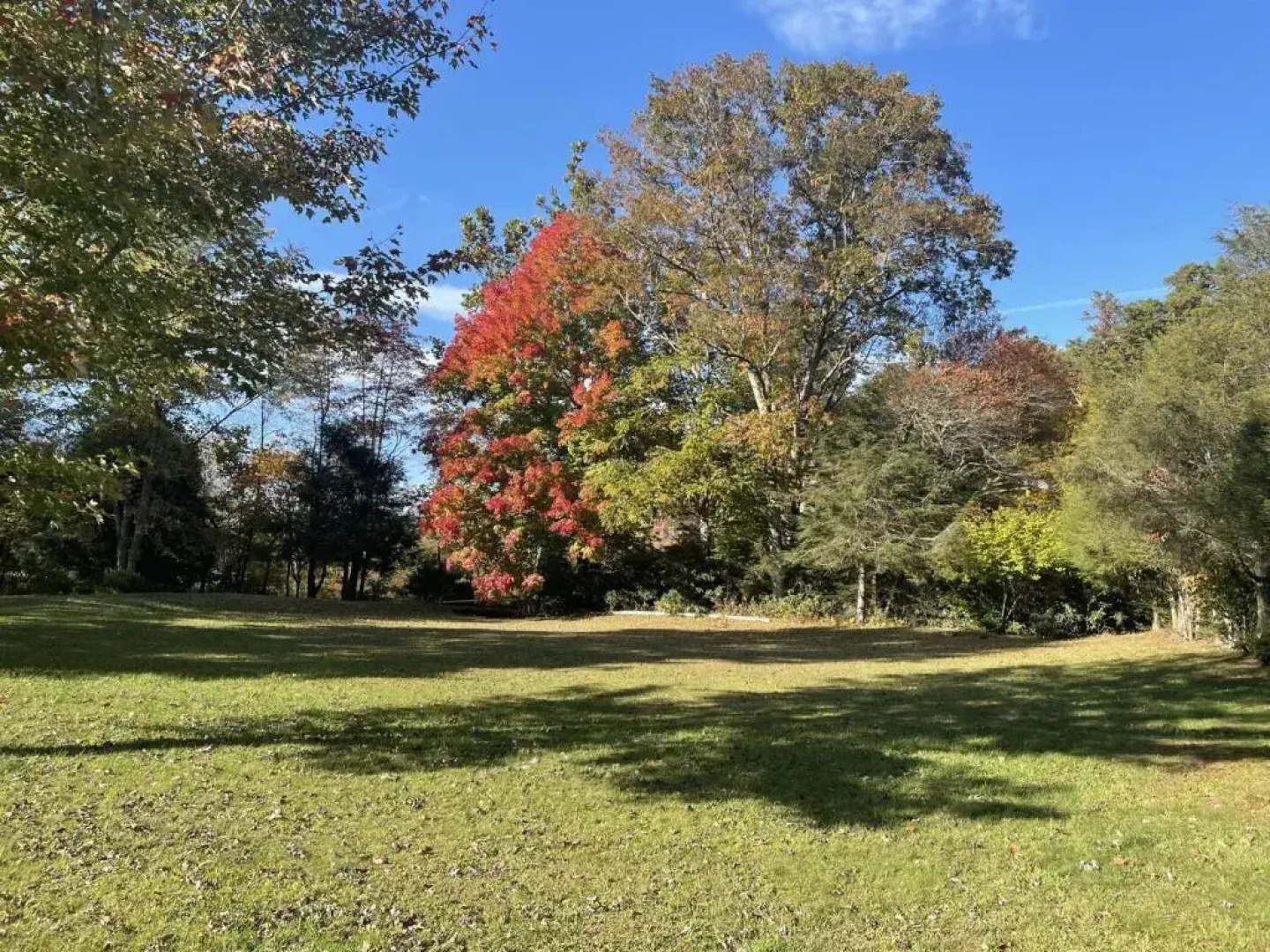 Albert's Lodge at Mt. Mitchell