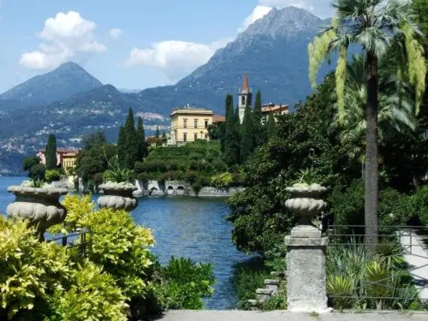 Riva Bellano Camelia