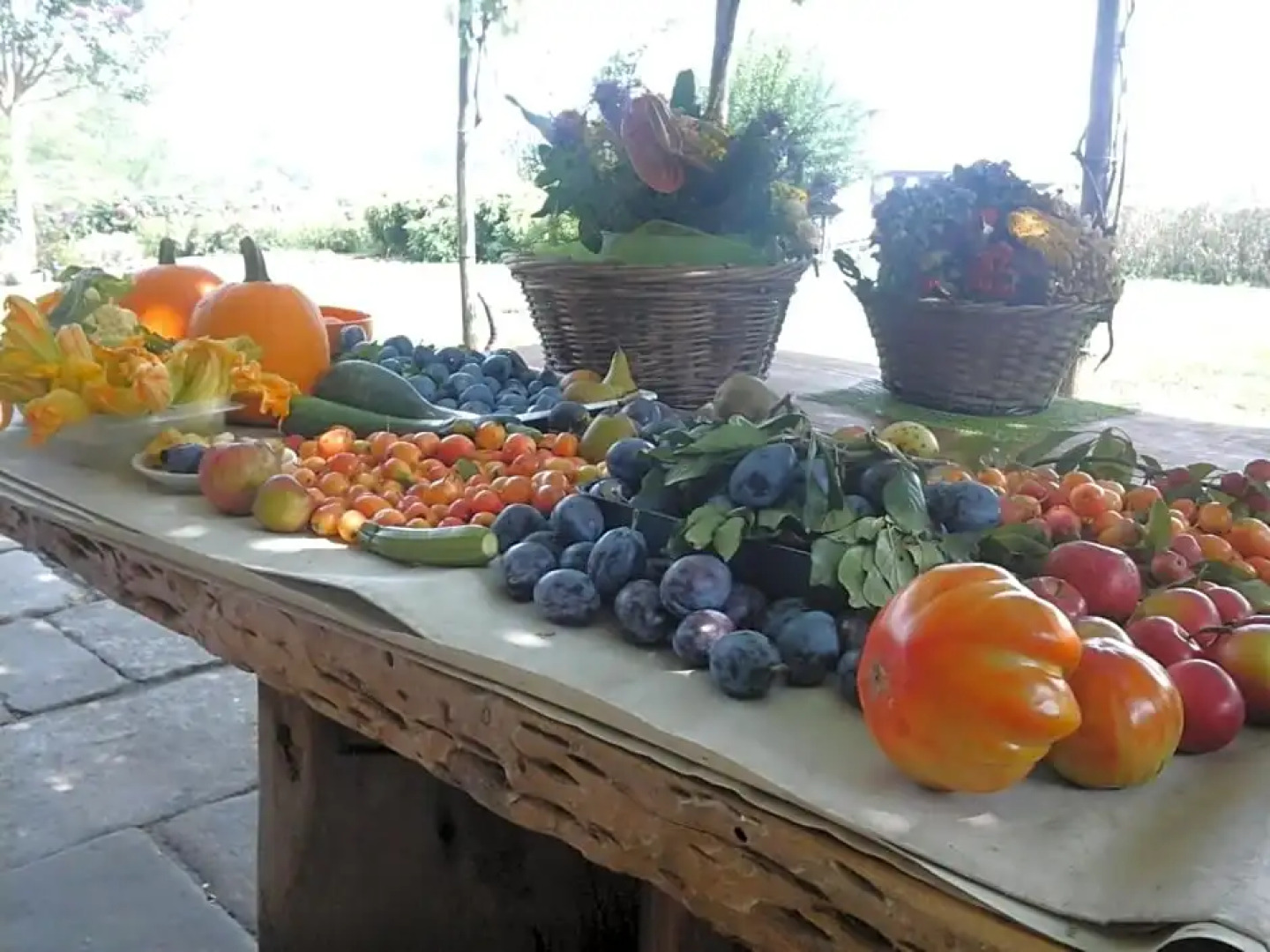 Bio&B Cascina Montebello