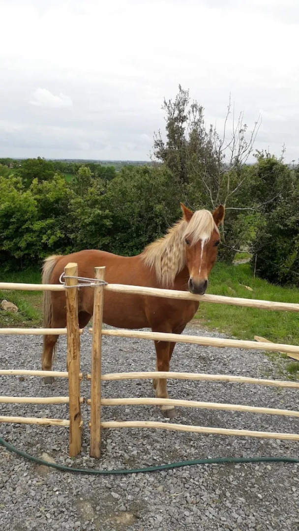 Terre et Eau B&B La Flocellière