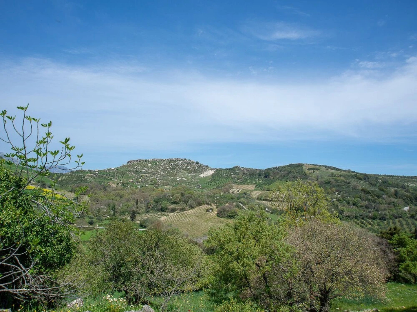 "sifakis Gorgeous Stone House"