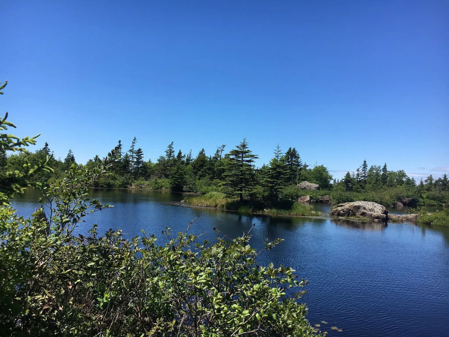 Whale Cove Inn
