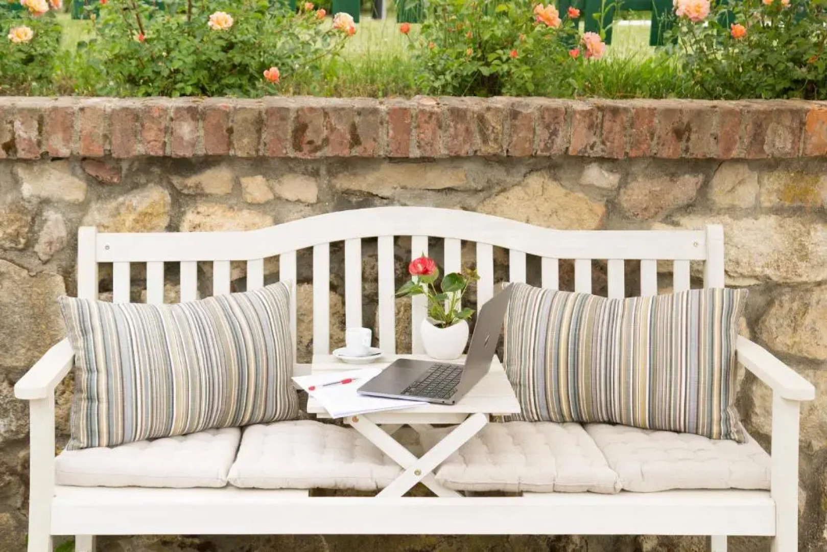 White Tail Organic Farm