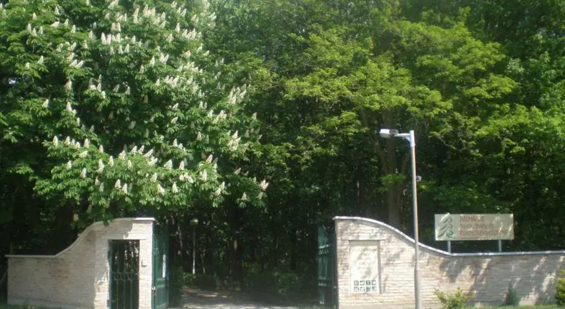 Pálmajor Pihenöpark és Rendezvényközpont