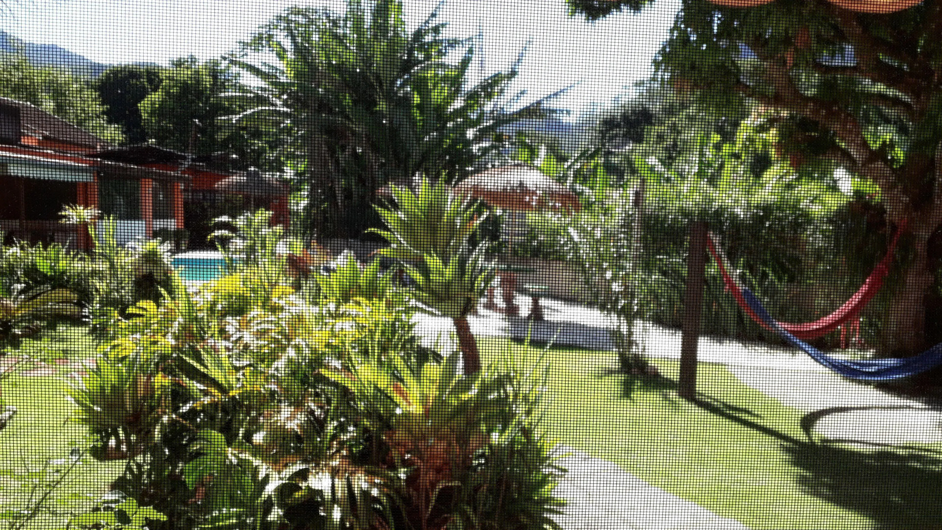 Pousada Estrela da Manhã