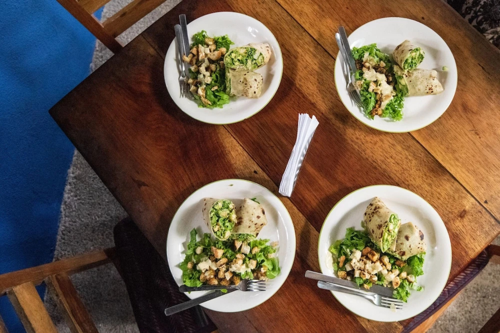 Jungle Lodge at Wild Sun Rescue