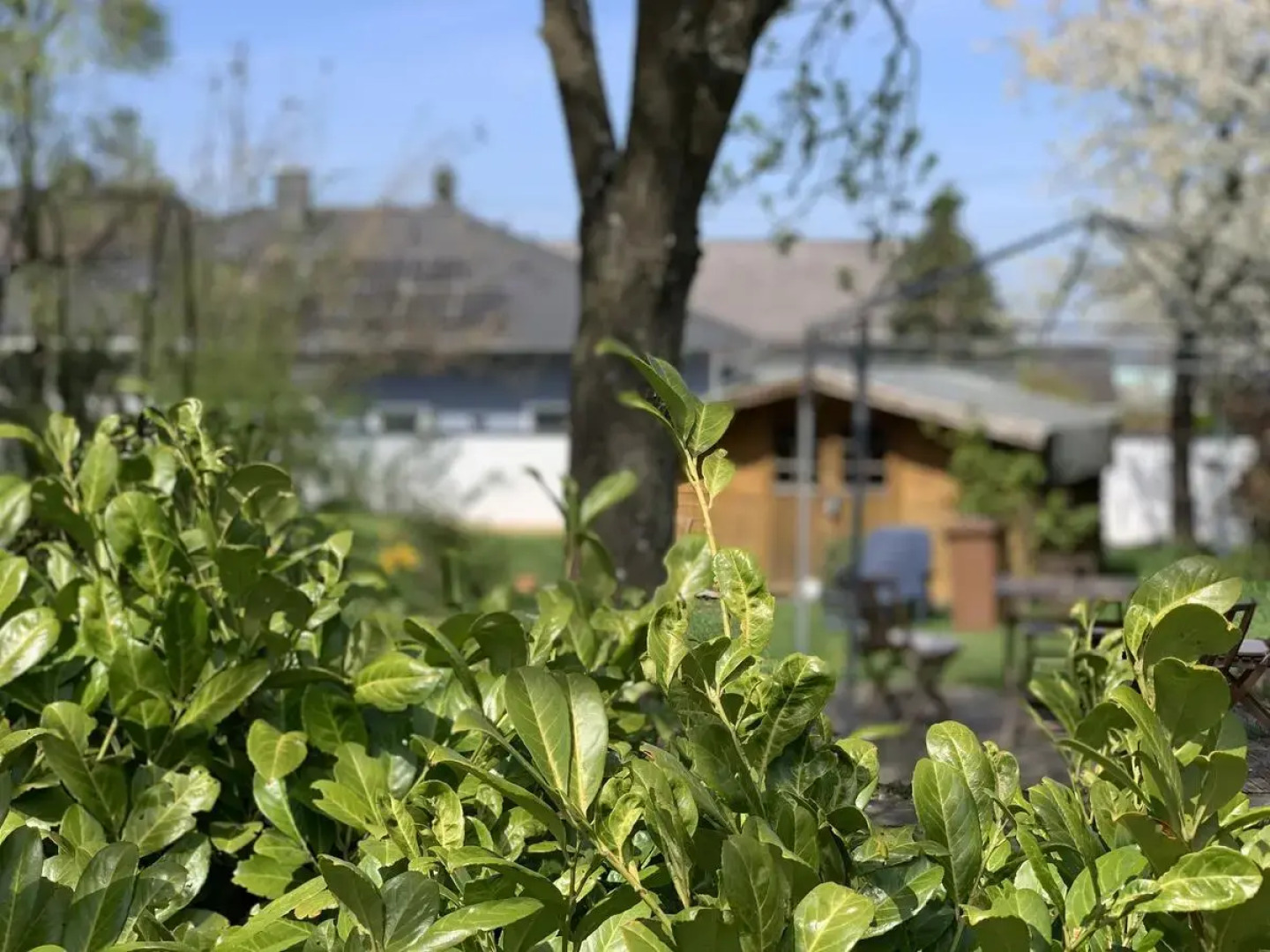 Altes Zehnthaus Geierlay