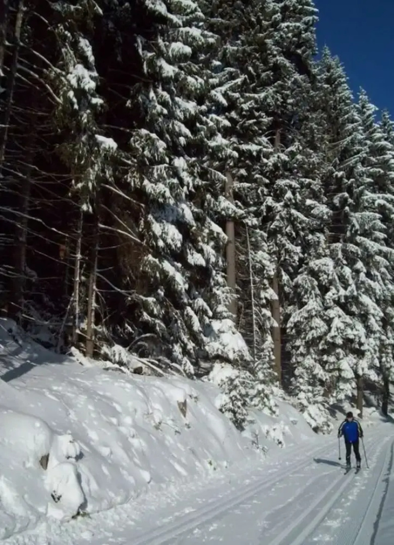 Gutsweg One - Apartment 3