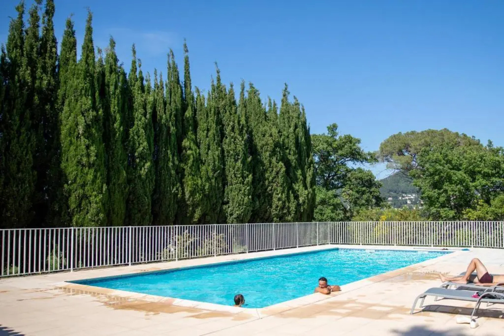 Domaine De La Navicelle - Cabernet