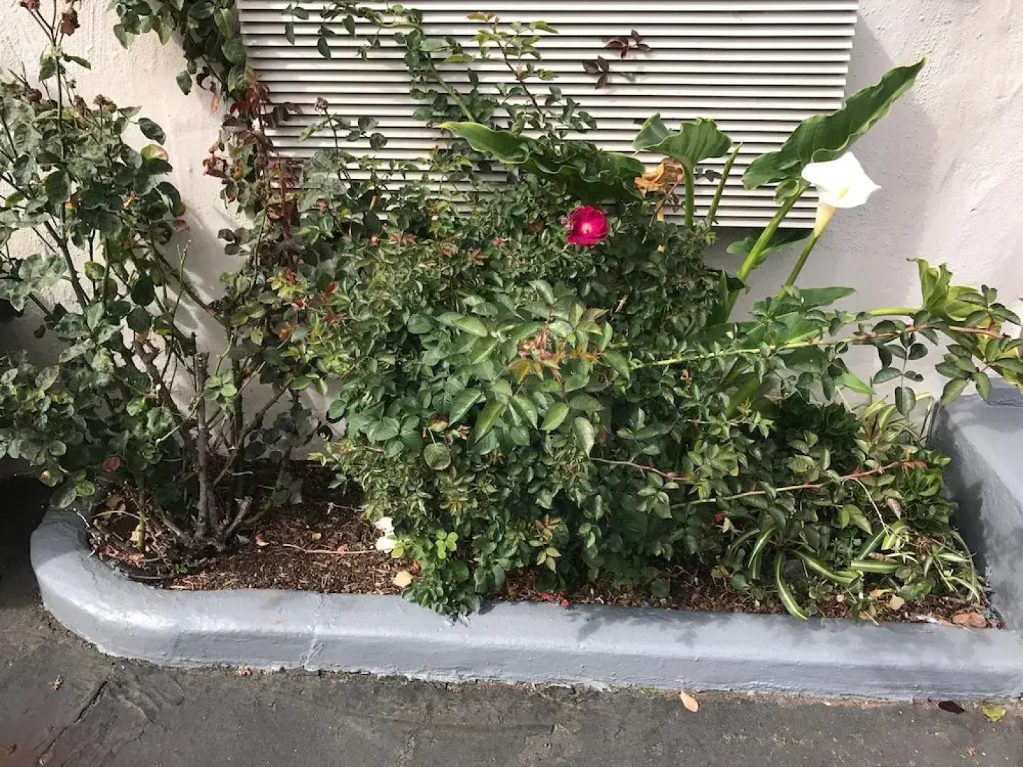 Geneva Motel Daly City