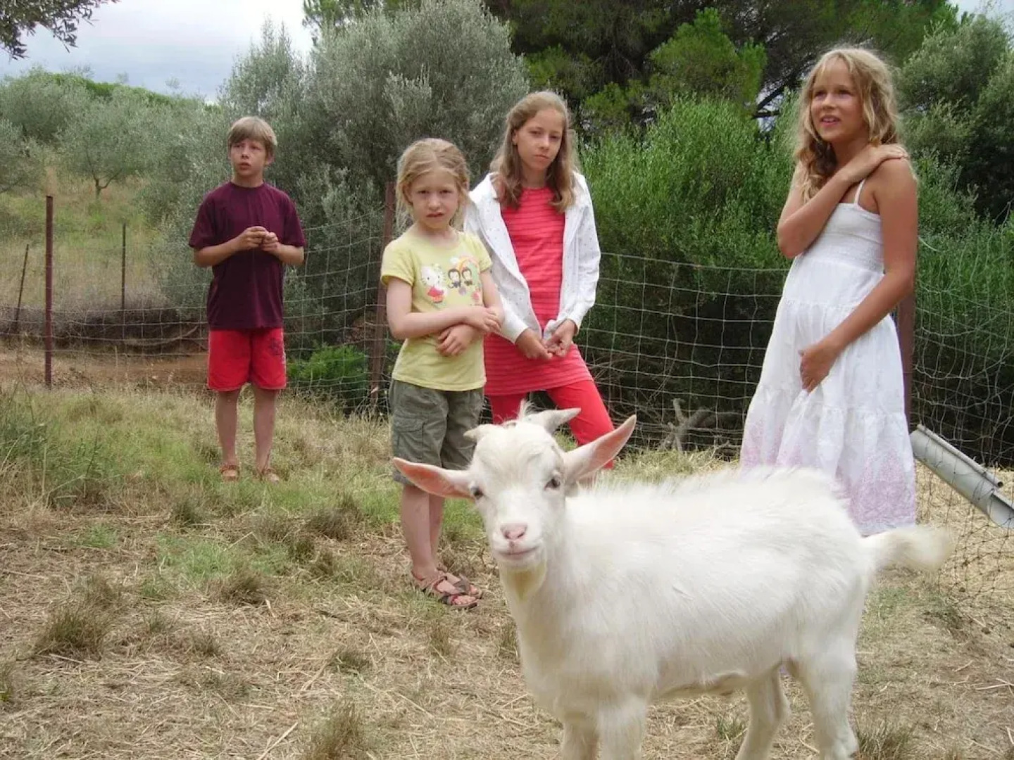 Agriturismo Le Serre