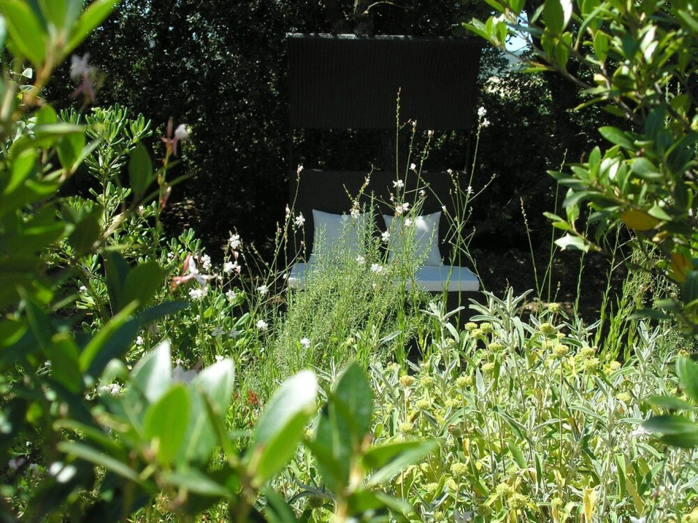 Le Clos Des Lavandes