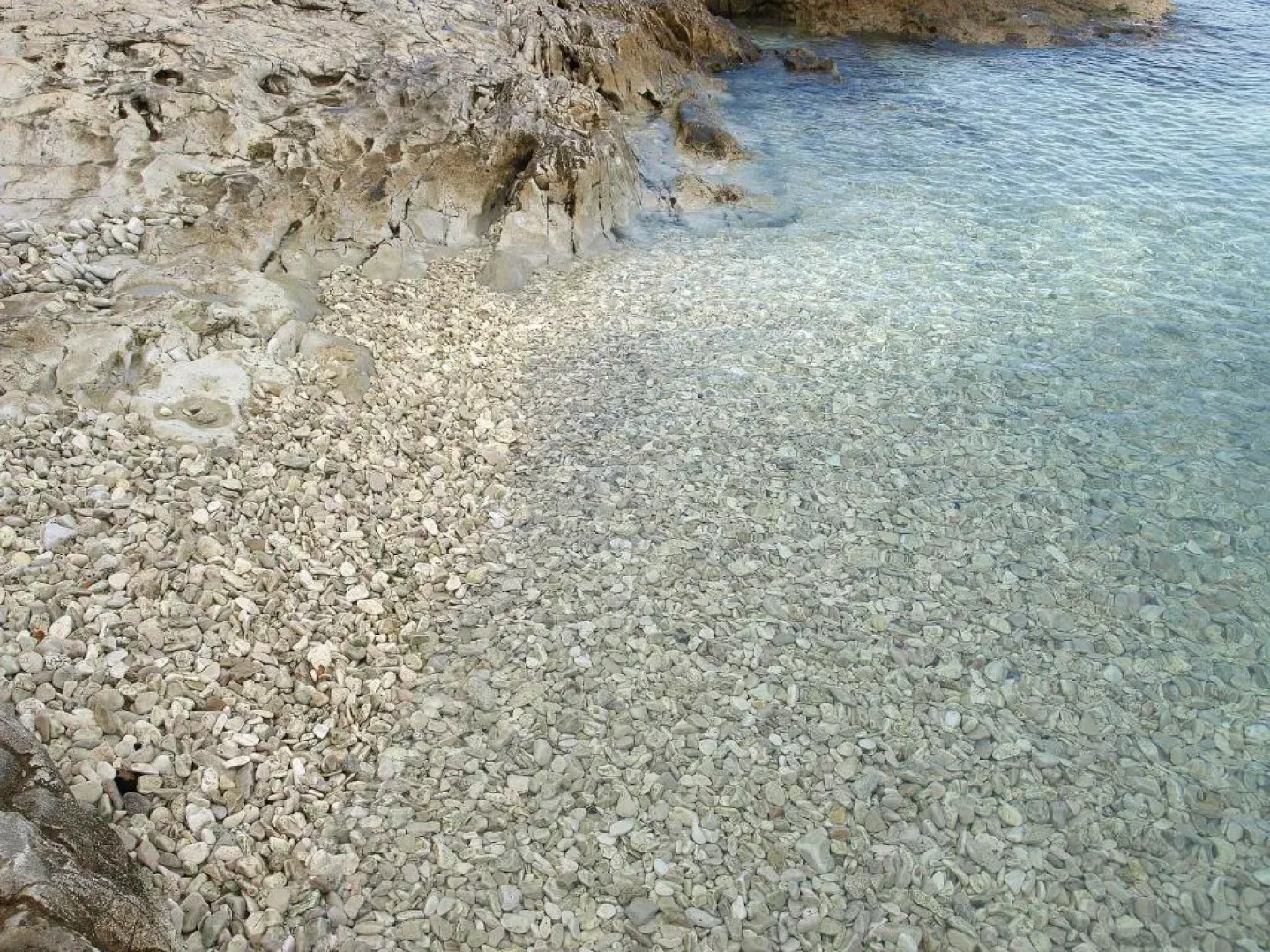 Apartments Ljilja sea view