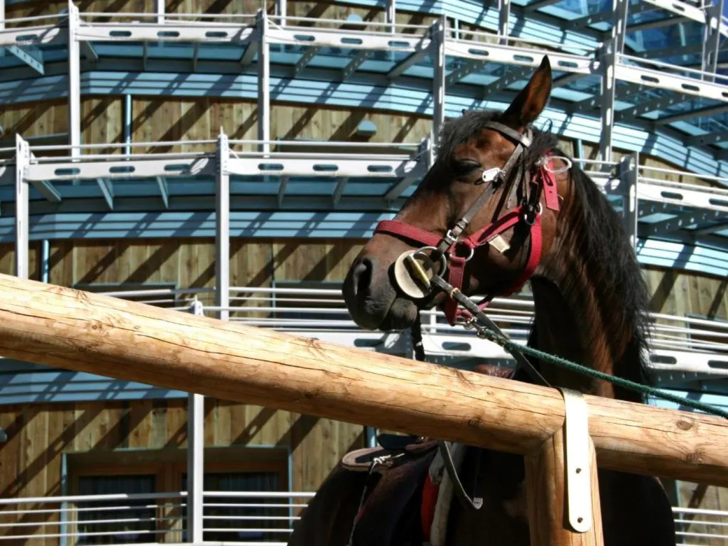 Hotel Shackleton Mountain Resort