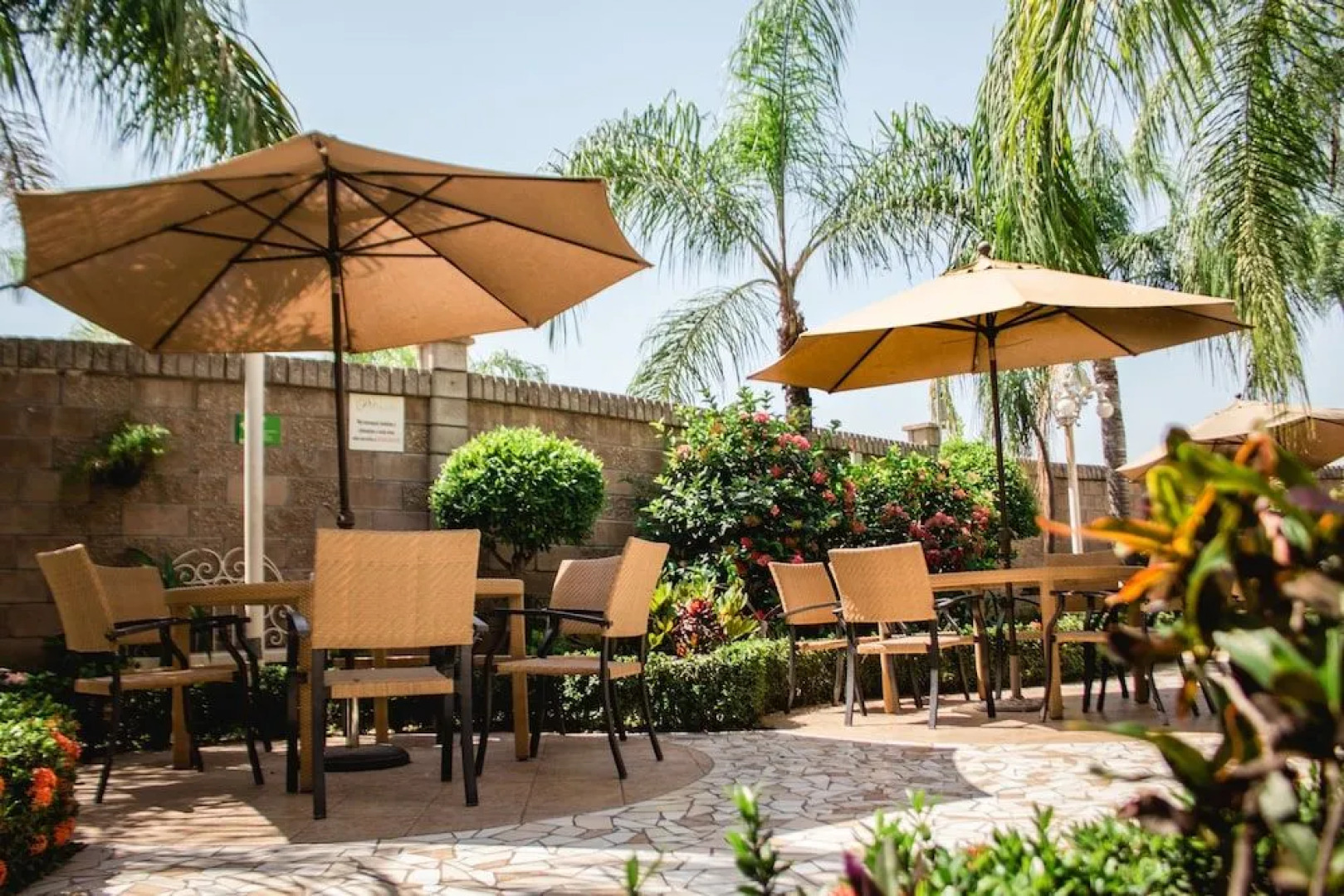 Hotel Maioris Jesús Kumate