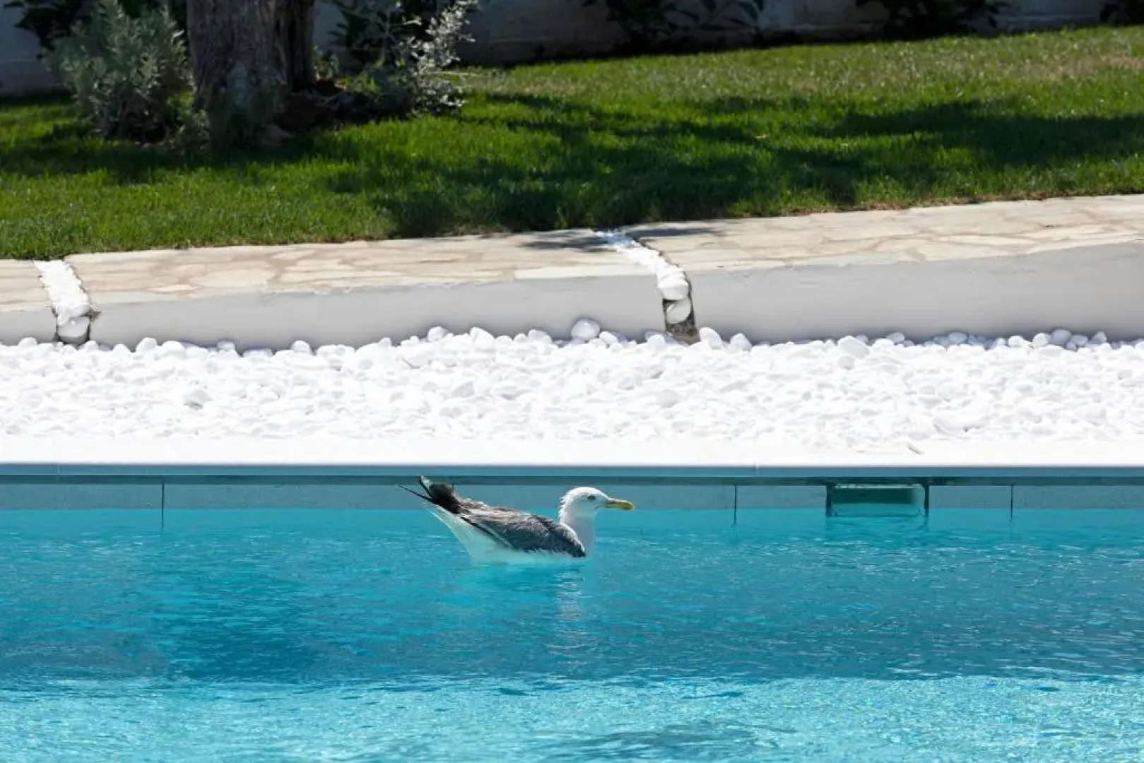 Lichnos Luxury Suites