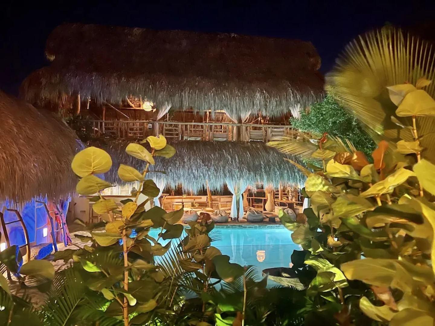 Ecoxata - Adults Only