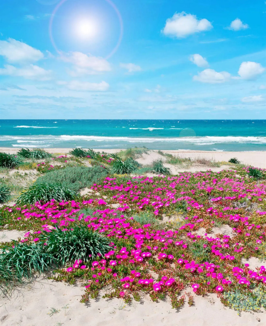 Marina Manna Hotel & Club Village