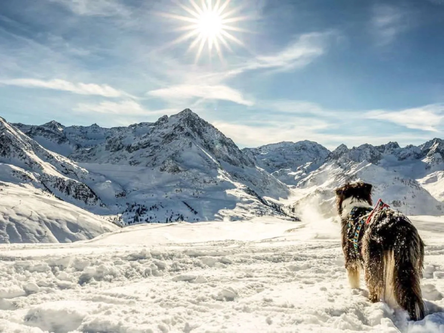 Romantik Chalet Karin 15279