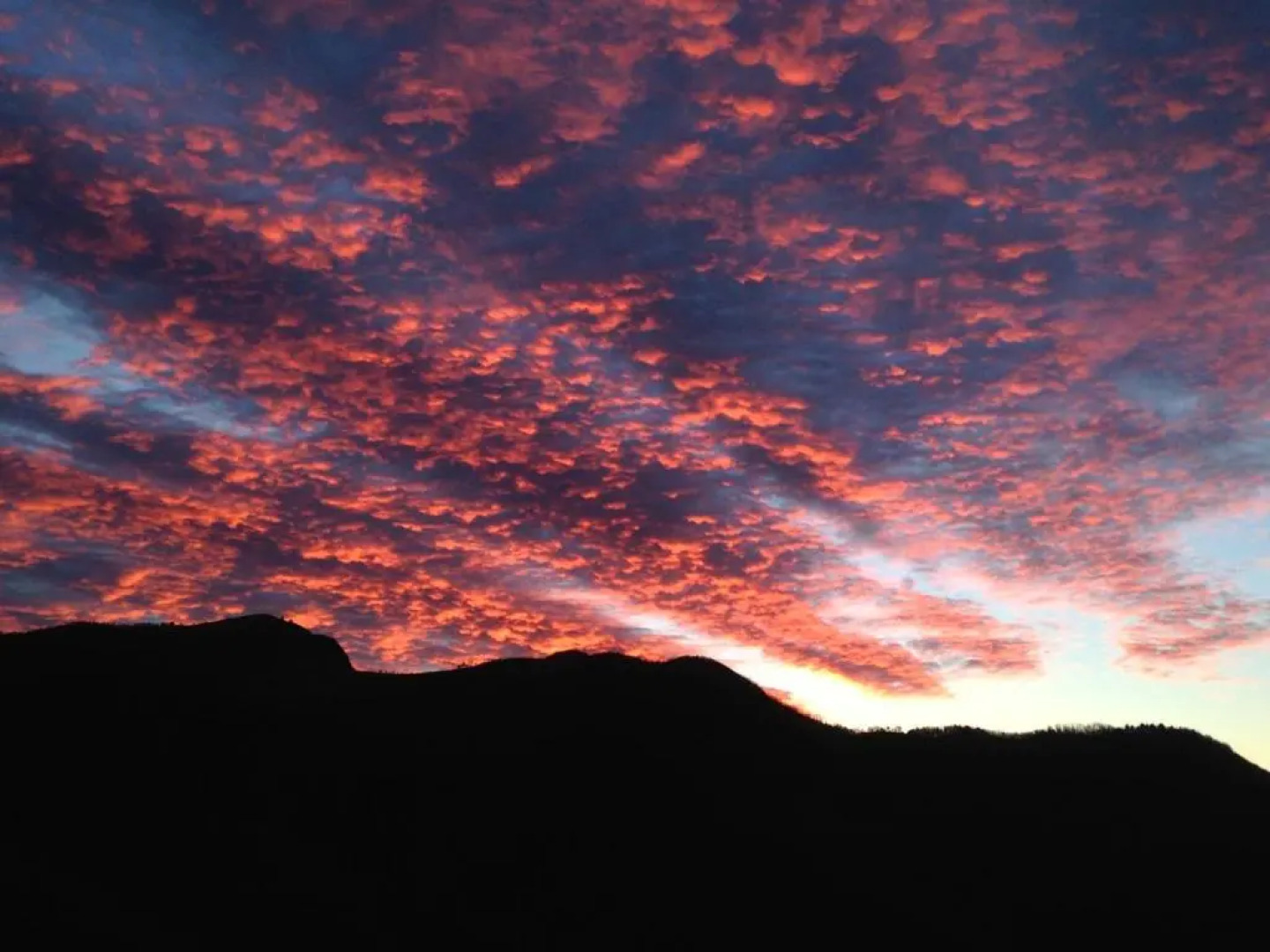 Colletto AgriBioRelais