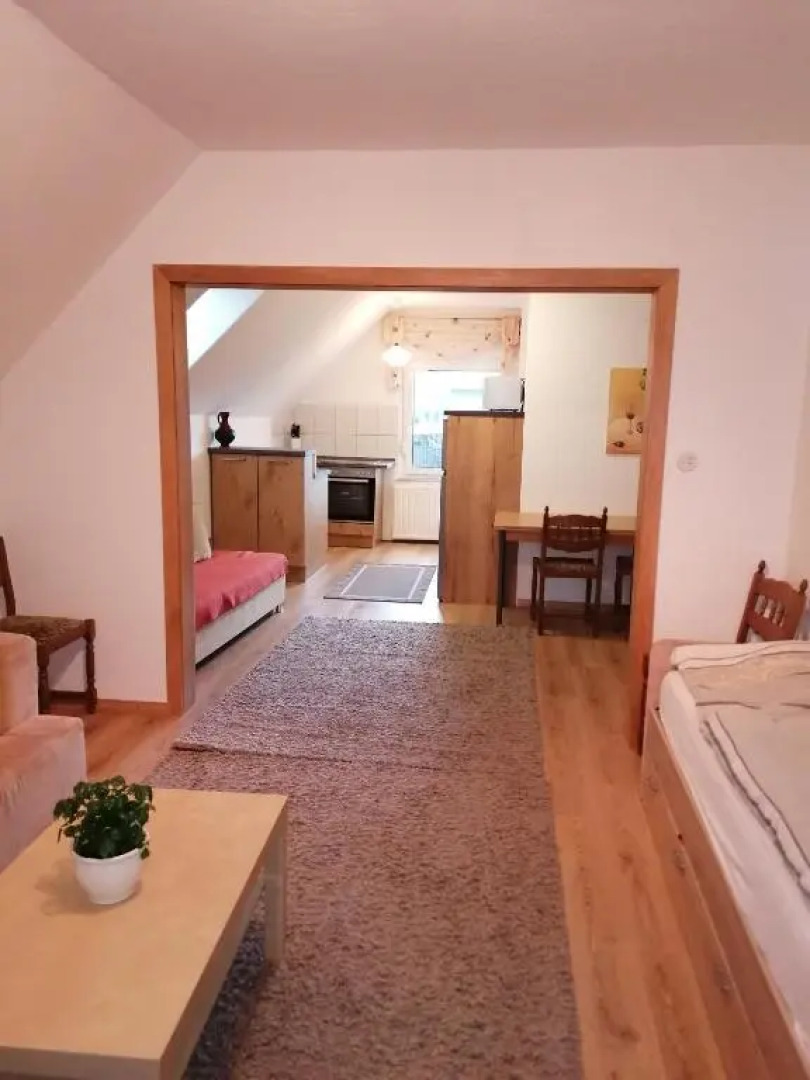 Apartment Lidija