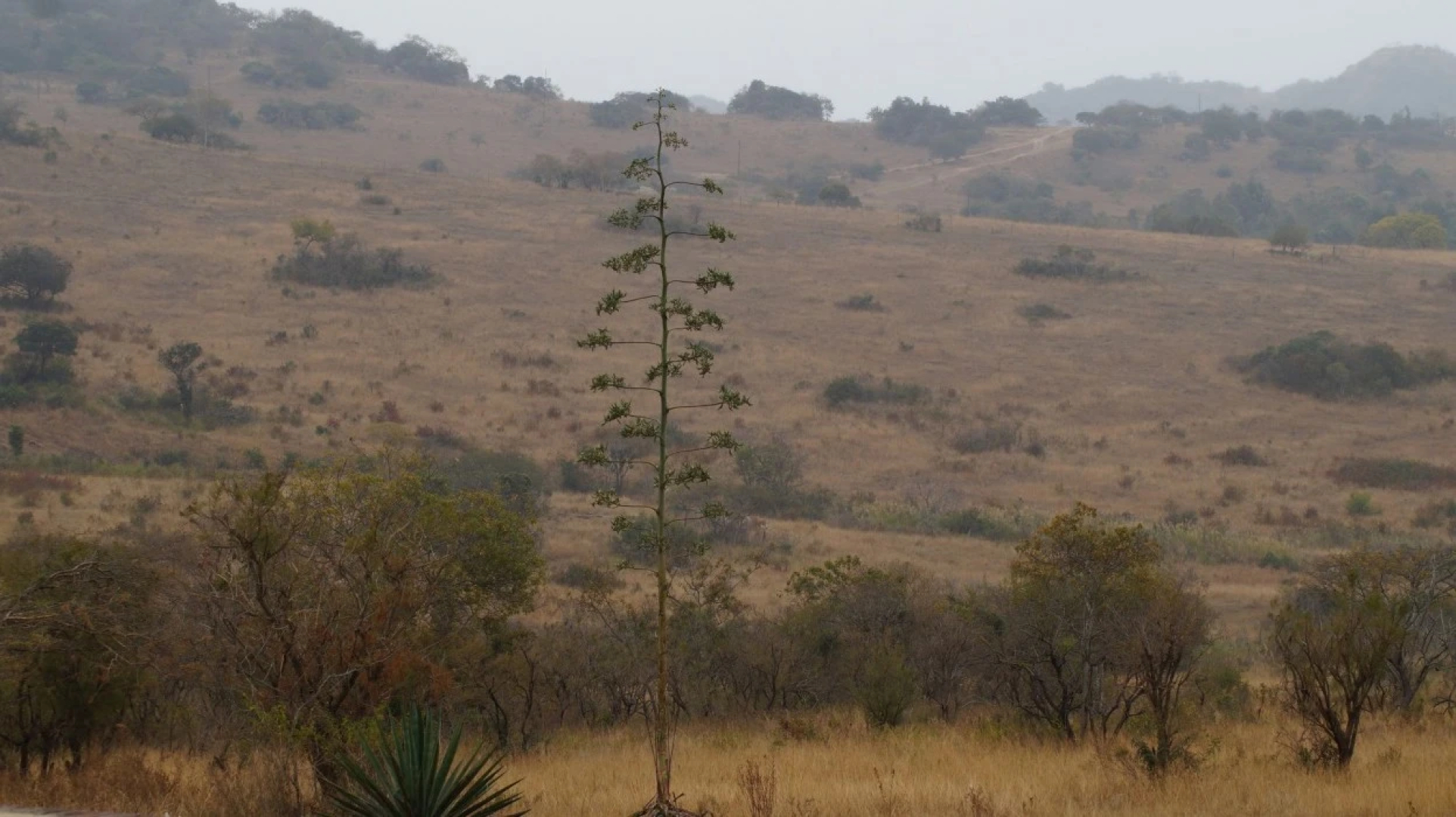 Klipspringer Lodge