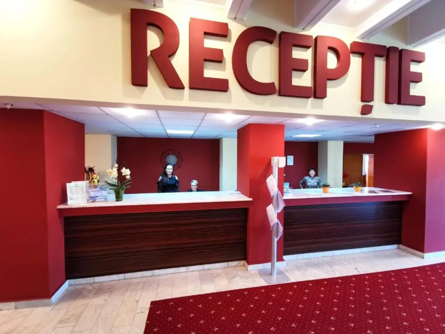 Hotel Montana - Covasna