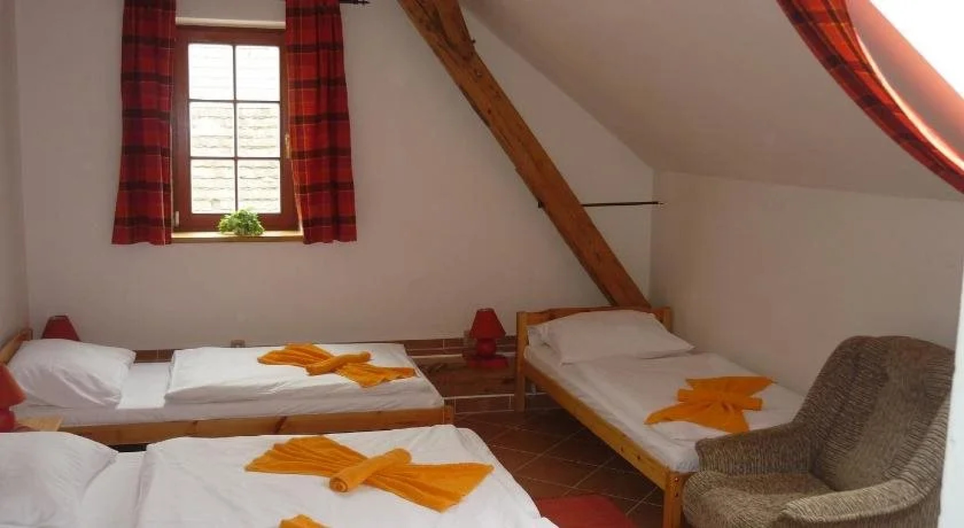 Restaurace a penzion U Lva