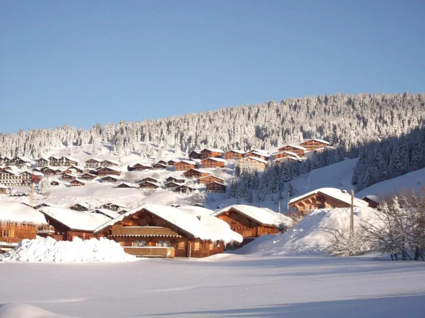Résidence Reine Des Prés - Chalets Joguet