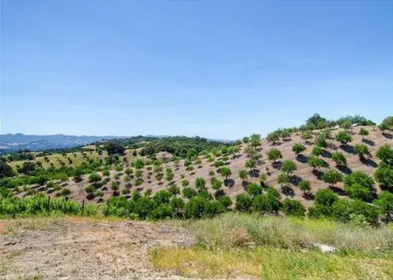 Sea Stone Ridge 3 Br home by RedAwning