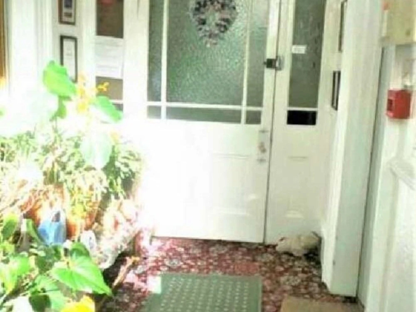 Station House Plymouth