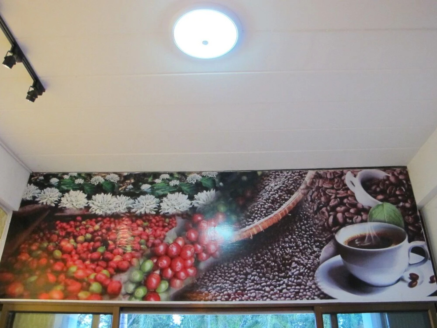 Amaretto Hostel&Amaretto De coffee Home