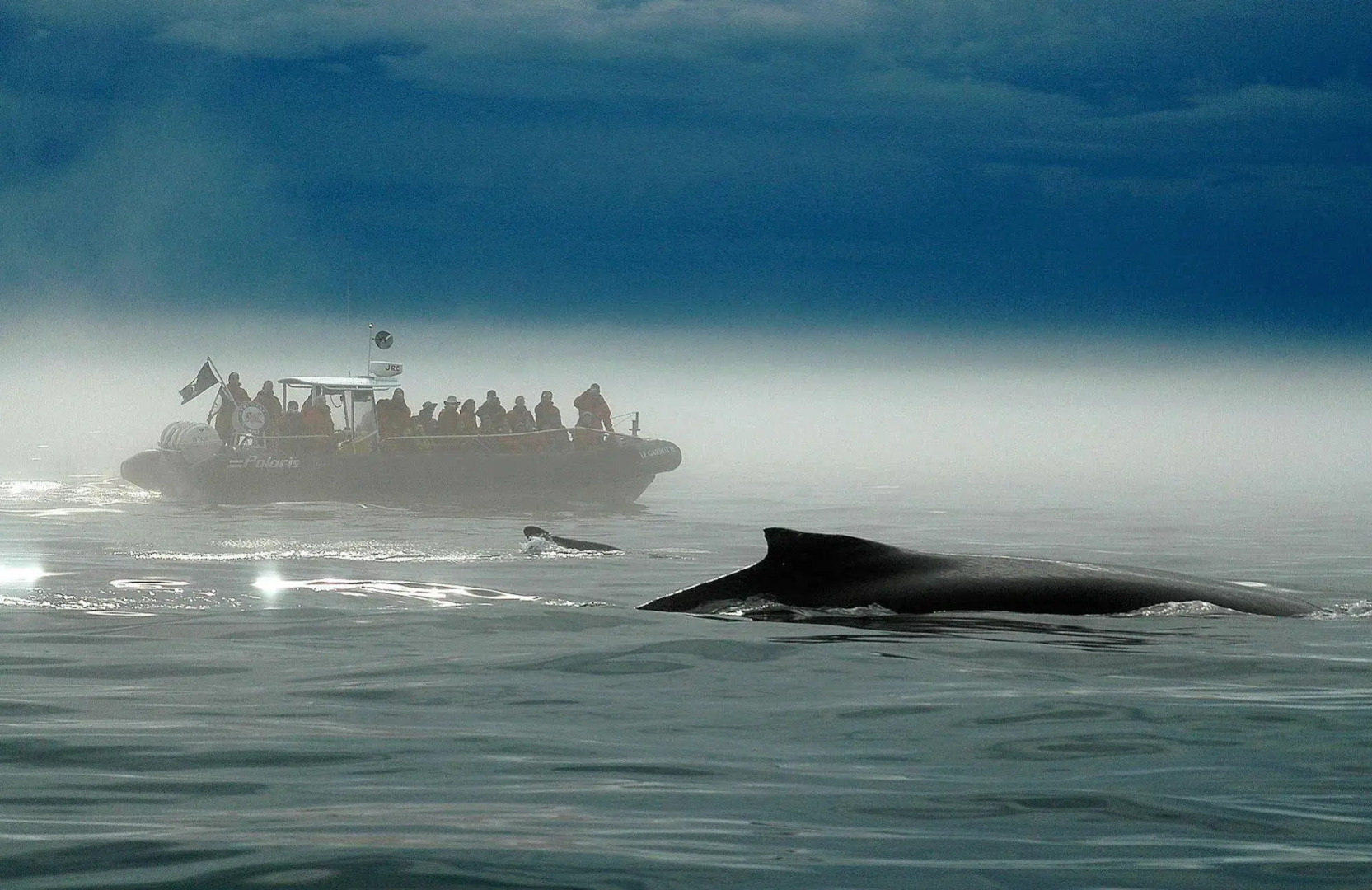 Hotel Motel Le Beluga