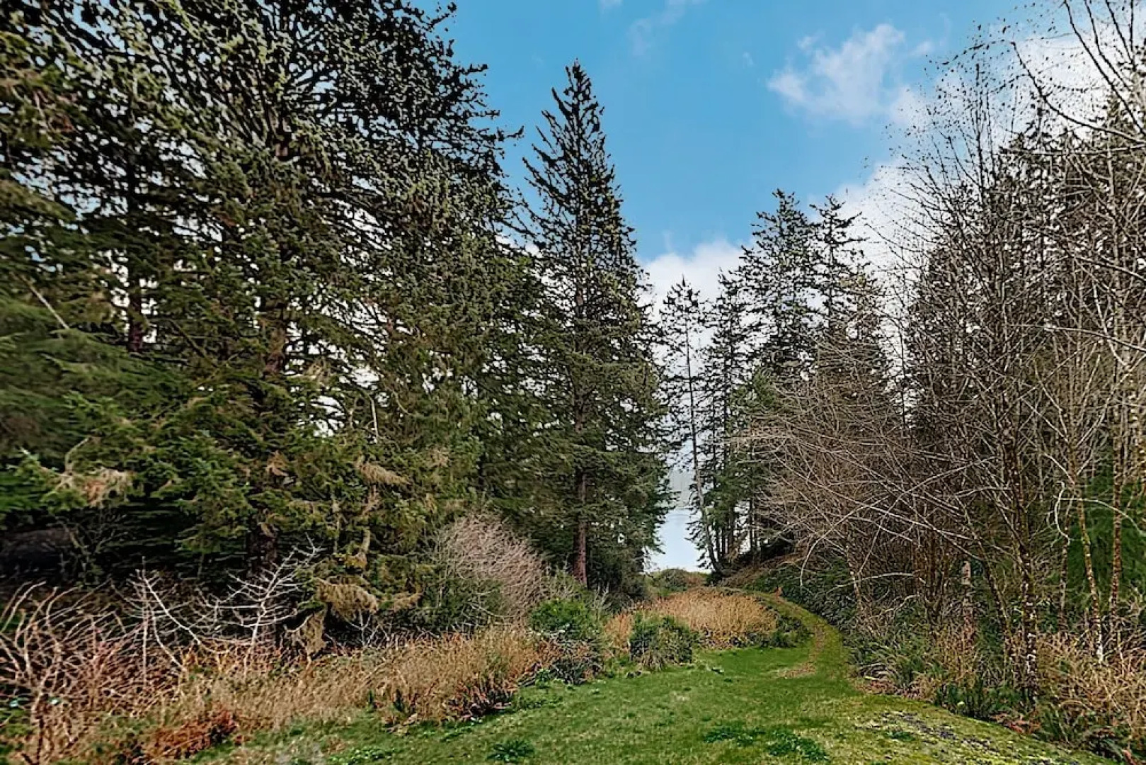 New Listing! Serenity Lake House On The Siltcoos 3 Bedroom Home