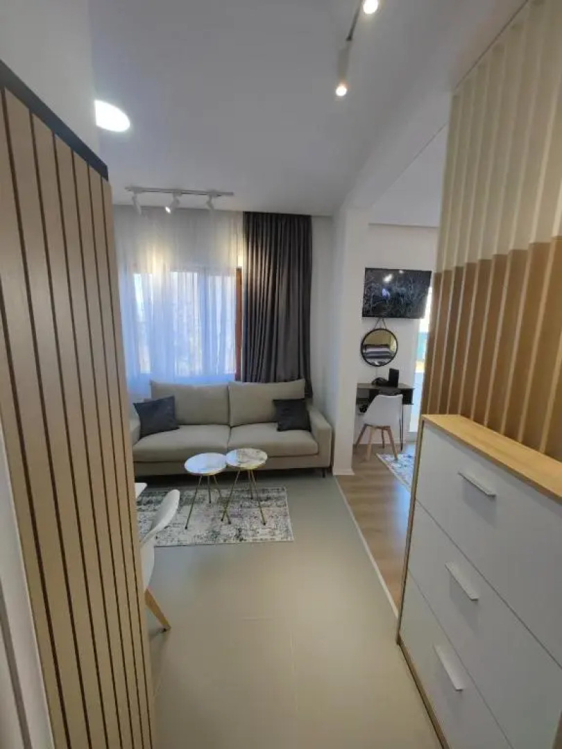 Fully equipped apartment in the city center with a lake view