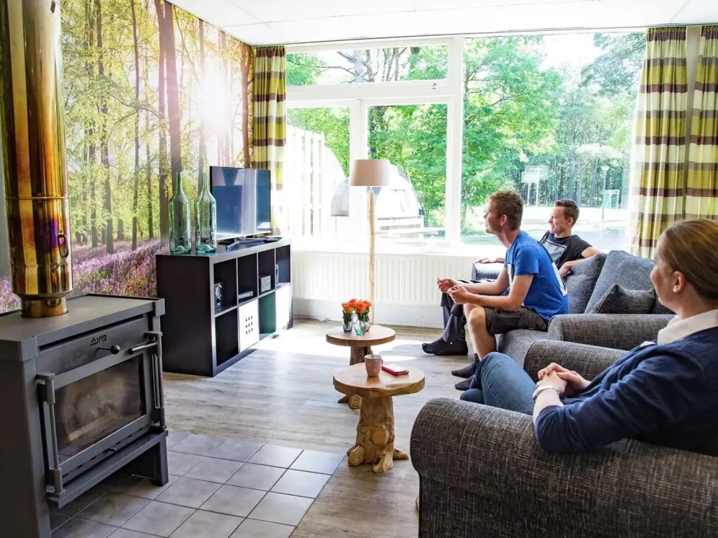 Group Accommodation Near Assen With Barbecue and Fireplace