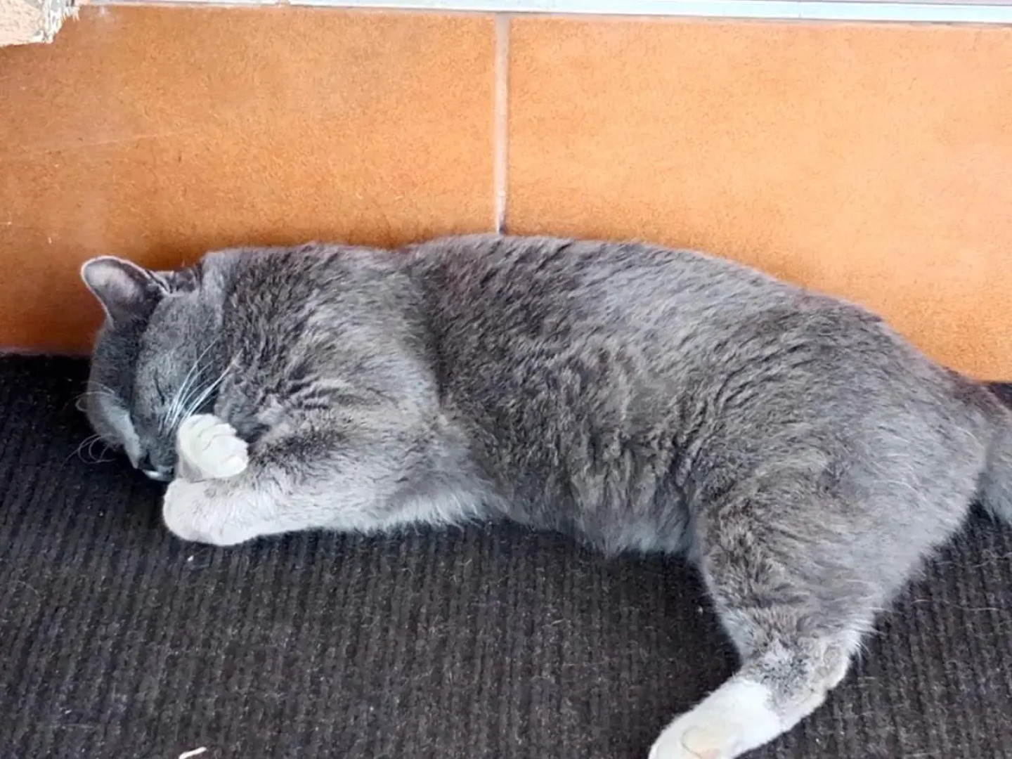 Penzión Monty Ranch