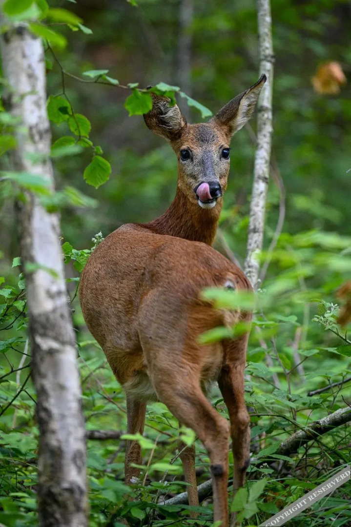 Your Nature Eco Resort
