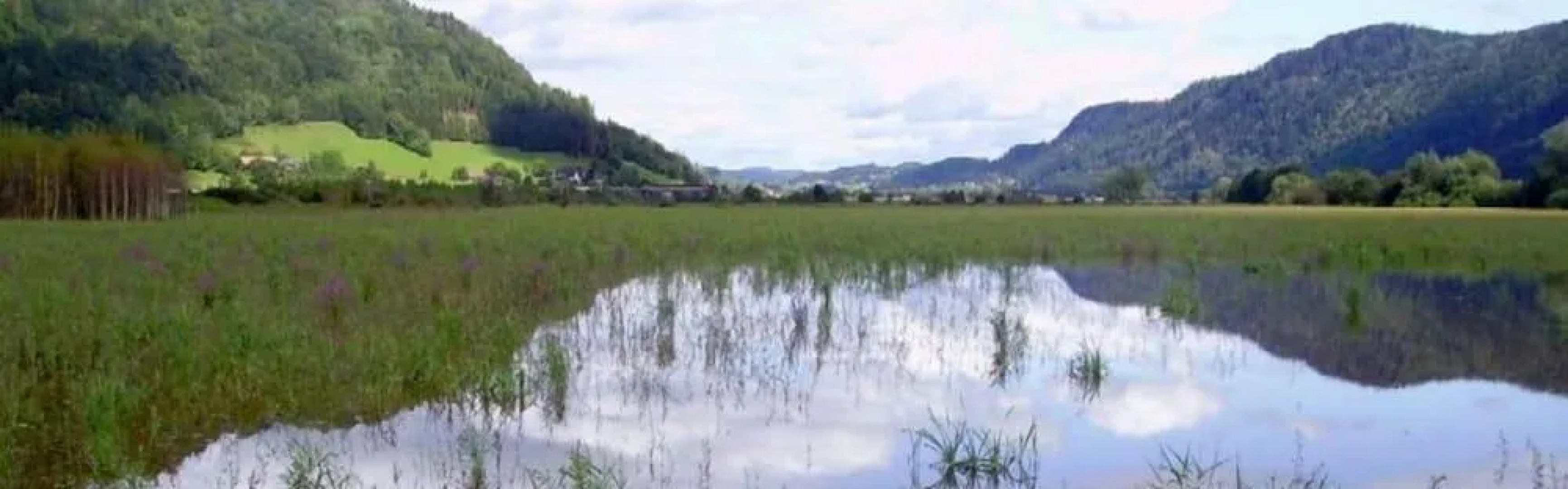 Seevilla Ossiacher See