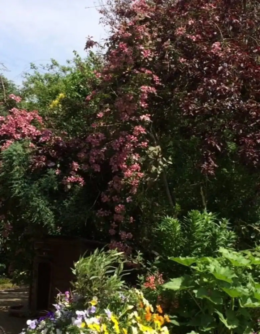 Rendham Hall Bed & Breakfast