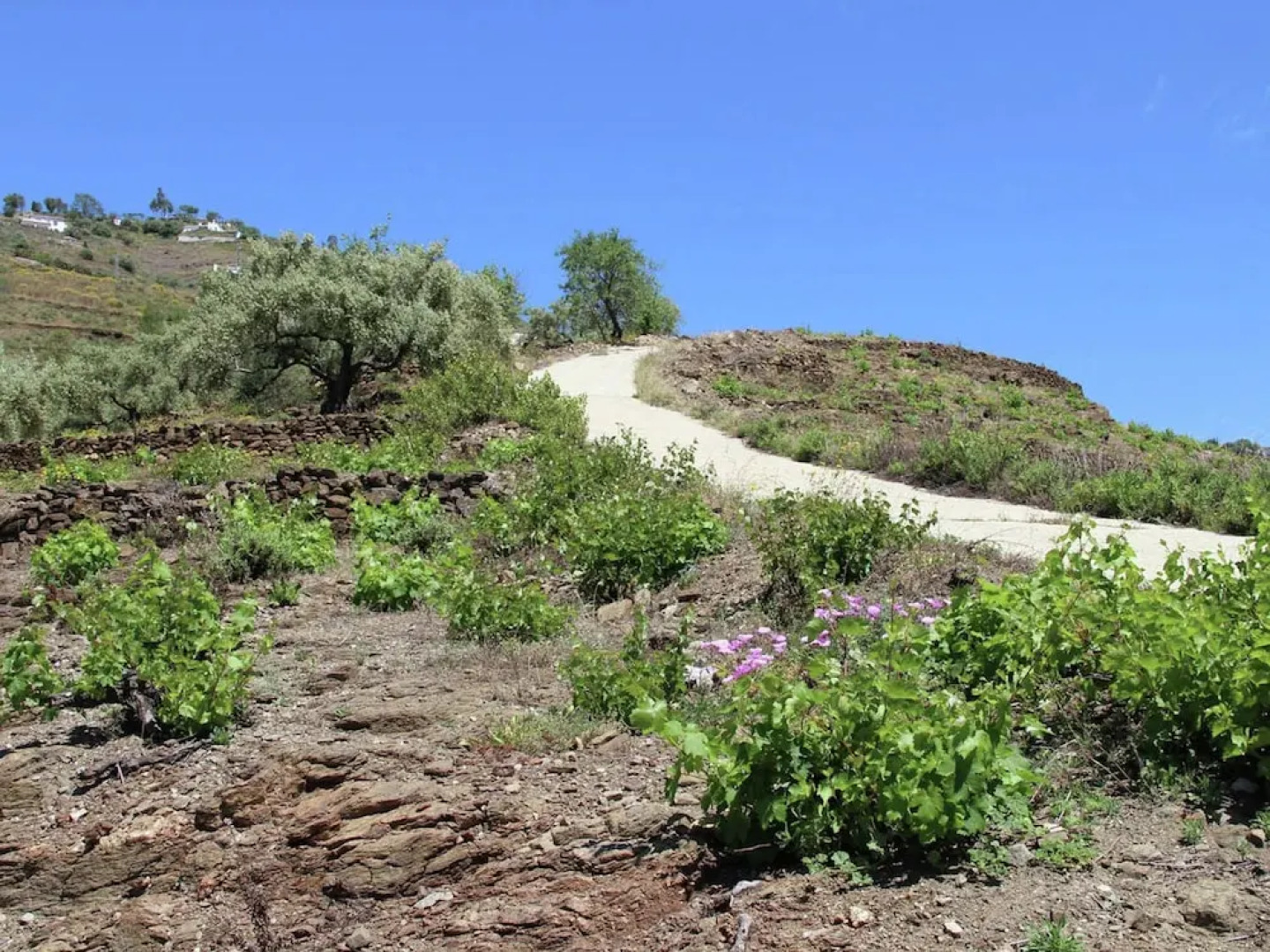 Spacious Cottage With Private Pool and Beautiful Views of Mountains and sea