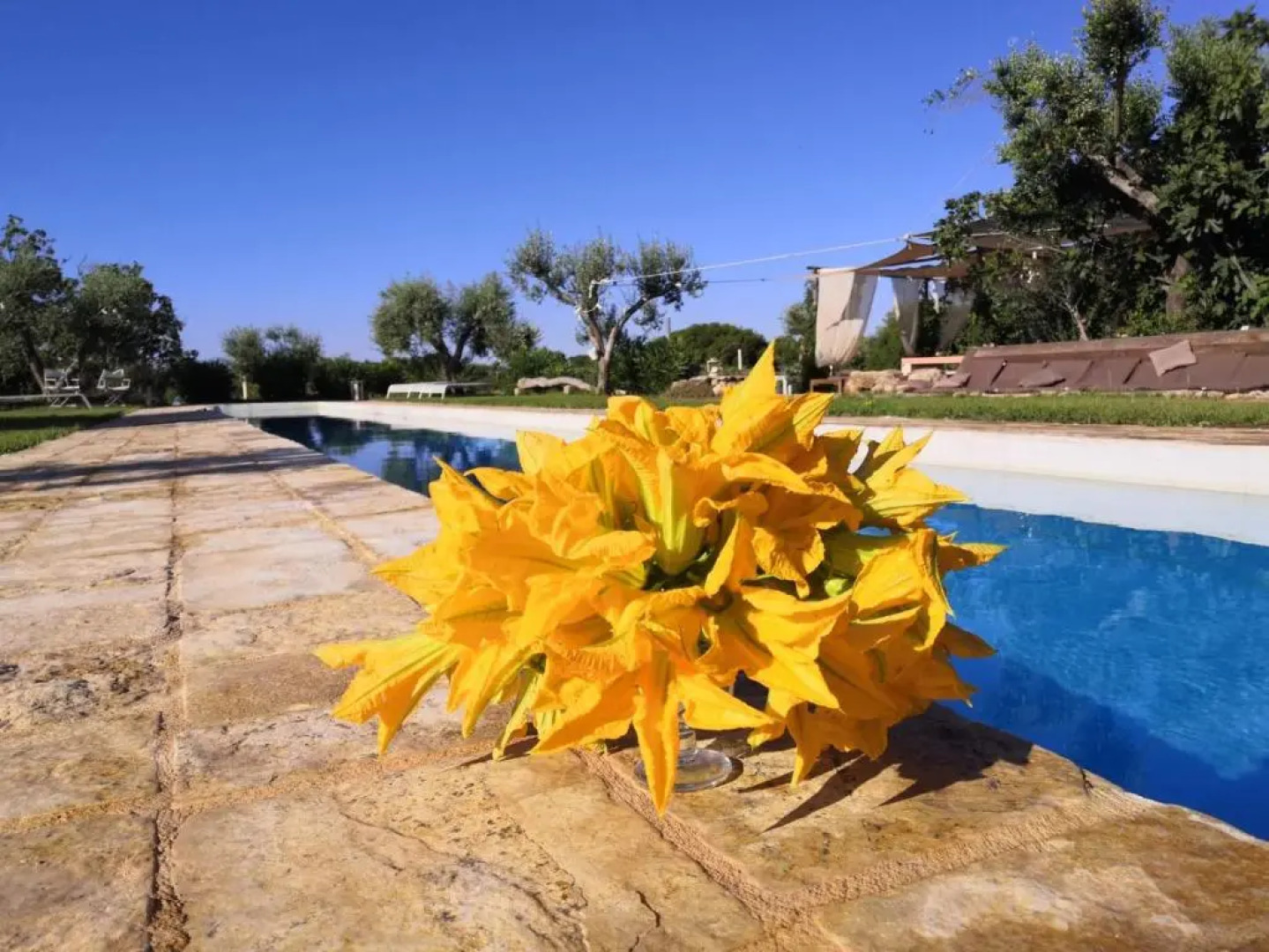 Le Dune Del Marchese