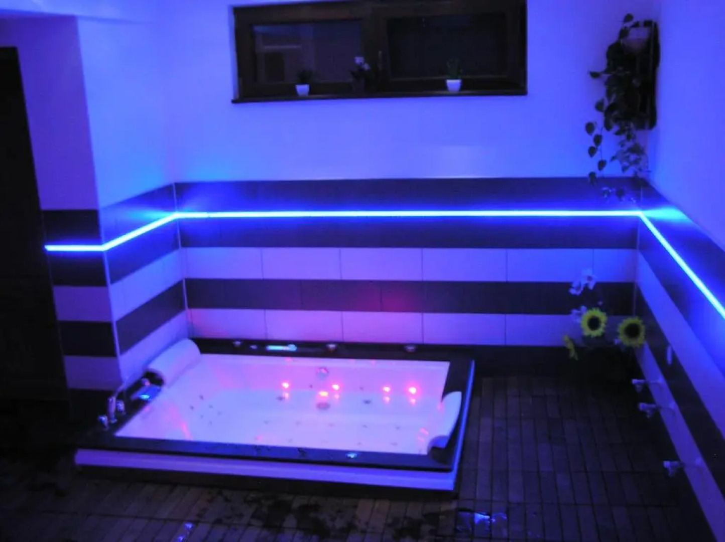 Kovácsszénája Vendégház