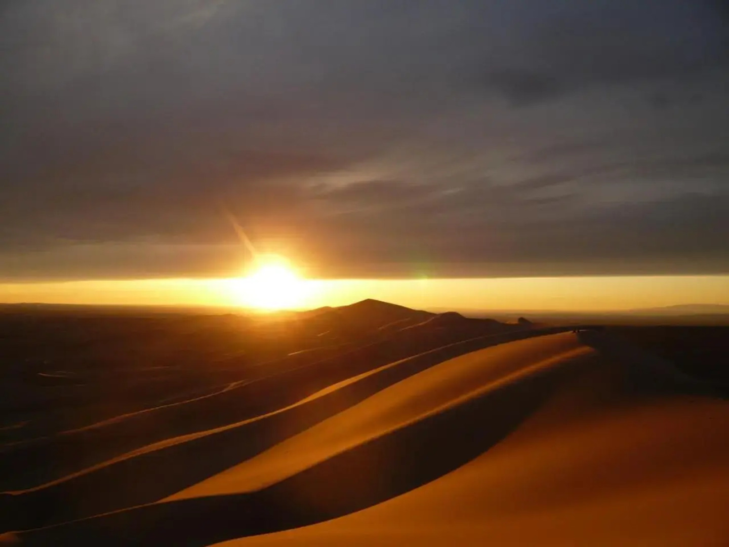 Golden Gobi Guesthouse & Tour