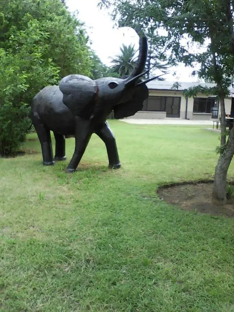 Elephant Lodge Guesthouse